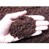 Fibra di cocco, terriccio medio 0/10 mm (10 kg - c.ca 27 lt)