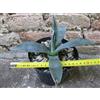 Agave americana var. americana 20 cm, cactus, pianta grassa winter hard, resistente fino a -5Â° C