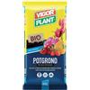Terriccio universale (Potgrond - Vigor Plant) (pallet da 42 sacchi da 70 lt)