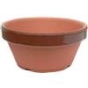 Vaso Tokoname giapponese da coltivazione per bonsai 17,0x7,8 cm (TC5,5)
