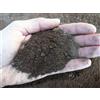 Lapillo vulcanico rosso in sabbia, lava vulcanica 0/3 mm (10 kg - 10 lt)