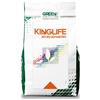 Kinglife 20-20-20, NPK 20-20-20 + microelementi (10 Kg), concime idrosolubile per piante e fiori