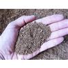 Fibra di cocco, terriccio fine 0/3 mm (1 kg)