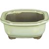Vaso per bonsai Giapponese Morrisan rettangolare in gres smaltato bianco 12,5x10,5x5,5 cm - B05-10b