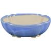 Vaso per bonsai Giapponese Morrisan ovale in gres smaltato azzurro 9,5x7,5x3 cm - B02-8-11A