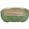 Vaso per bonsai Giapponese Morrisan ovale in gres smaltato verde 8x9,5x2 cm - B02-8-9D