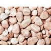 Ciottoli, sassi per giardino, Rosa Corallo 15-25 mm (40 sacchi da 25 kg)