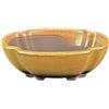 Vaso per bonsai Giapponese Morrisan ovale in gres smaltato giallo senape 9,5x7,5x3 cm - B02-8-11H