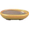Vaso per bonsai Giapponese Morrisan ovale in gres smaltato giallo senape 9,5x7x2 cm - B02-8-10H