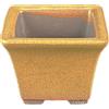 Vaso per bonsai Giapponese Morrisan quadrato in gres smaltato giallo senape 5,5x5,5x4,5 cm - B02-8-2H