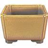 Vaso per bonsai Giapponese Morrisan quadrato in gres smaltato giallo senape 9x9x5,5 cm - B03-3-2F