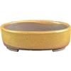 Vaso per bonsai Giapponese Morrisan ovale in gres smaltato giallo senape 8x9,5x2 cm - B02-8-9H