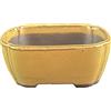Vaso per bonsai Giapponese Morrisan rettangolare in gres smaltato giallo senape 9x7x3,5 cm - B02-8-6H