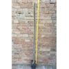 Cleistocactus yuyunensis 140 cm, cactus, pianta grassa