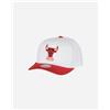 Mitchell&ness Team 2 Tone 2.0 Pro Hw - Cappellino Nba - Color Mix