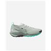 Nike Pegasus Trail 5 Gore-tex M - Scarpe Trail - Uomo - Grigio
