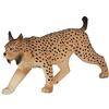MOJO Science4you -Animal Planet Animali, Colore (387064)