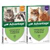 Elanco Advantage Spot On Antiparassitario per Gatti e Conigli 4 Pipette, s
