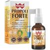 Winter Propoli Forte 20ml | Integratore Alimentare Propoli Spray Gola | Antiossidante e Lenitivo | Con Propolis Puro Naturale ed Estratti Vegetali | Senza Glutine e Lattosio