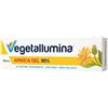 Pietrasanta Pharma Vegetallumina Arnica Gel 90% Sollievo Cutaneo e Muscolare, 100 Ml