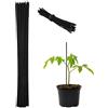 Relaxdays Canne di bambù 30 cm, Set 50 Bastoni 5 mm Ø, Paletto Sostegno per Piante Rampicanti o Decorazione, Nere