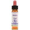 NATUR Srl ASPEN ESS 10ML INGL HERBS