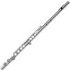 Gemeinhardt 2SP flauto con dritto Headjoint