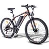 Fafrees 26Hailong One Mountain bike elettrica, batteria da 36 V 13,5 A