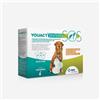 MSD Youact SOS 7 + 7 Bustine 1 confezione