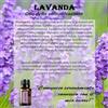 NATUR Srl Lavender essenza 4 ml California - fiore californiano Lavender per calma e rilassamento