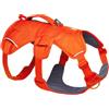 Ruffwear Web Master, pettorina per cani a Y con manico e fibbia migliorata, regolabile e leggera, per passeggiate ed escursioni, anti fuga, anti-trazione, Blaze Orange, L/XL