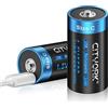 CITYORK Batterie ricaricabili USB tipo C, ad alta capacità, 1,5 V, 5500 mWh, agli ioni di litio, con cavo di ricarica di tipo C, confezione da 2