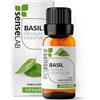 SenseLAB Olio Essenziale di Basilico - Terapeutico Naturale e Puro al 100% per Umidificatore e Diffusore di Aromaterapia - per Concentrazione e Cura Dei Capelli (10ml)