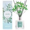 Airkeep Profumatore per Ambienti Wild Mint&Eucalyptus, Profumatore per Ambienti con 8 Bastoncini di Fragranza, Diffusore di Fragranze per Bagno, Appartamento, Decorazione Della Casa, 100ml