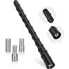 PAIRIER Antenna Auto Corta 20cm M4/M5/M6