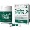 Innovet Condrostress Cat Integratore Articolare Contro Osteoartrite Gatti 30 Capsule