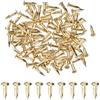 M METERXITY 100 Pezzi Piccoli Chiodini, 2mm x 10mm Chiodi Di Precisione In Ottone Mini Testa Tonda Per Legno/DIY Decorazioni/Accessori Per La Casa/Appendi Quadri