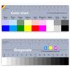 Sachverständigen-Zubehör.de Sachverständigen-Zubehör® Datacolor ColorChecker - 18 cm Righello colore [Set di 2 Plastica] Color Chart per la Fotografia | per Macchina Fotografica | Calibrazione bianco nero | Made in Germania