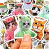 LOLEDE 10/50/100pcs Divertente Gatto Adesivi Del Fumetto Sveglio Decalcomanie Giocattolo di Cancelleria Chitarra Telefono Bicicletta Laptop Bagagli Auto Graffiti Adesivo Per Bambini
