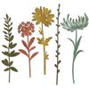 Sizzix Thinlits Set di Fustelle Dettagliate di Tim Holtz per Papercraft Botanico - Steli di Fiori Selvatici 1 - 5 Pezzi