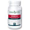 Erba Vita - Boswellia Serrata 400 Mg Confezione 60 Capsule