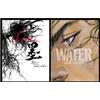 Takehiko Inoue Vagabond Sumi & WATER 2 Art Book Set 2006 Illustrazione Nuovo