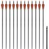 vidaXL 12x Frecce per Archi Ricurvi Standard in Carbonio Longbow Tiro Faretra vidaXL