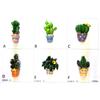 SET DA 12 PEZZI Bomboniere Calamita Magnete Frigo Segnaposto CACTUS MISTI