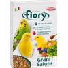Fiory Grani salute 300g