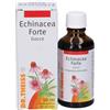 NATURWAREN ITALIA Srl Dr. Theiss Echinacea Forte Gocce, Integratore Immunitario, 50 ml, Echinacea, Difese Naturali, Vie Respiratorie