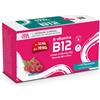 PALADIN PHARMA SPA Paladin Sanavita B Vitamins B12 15 Flaconcini Energia E Ricarica