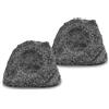 SET 2 Pezzi SSP-1100 GR Altoparlante Outdoor per Giardino 50 Watt