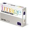 IMAGE Antalis Coloraction - Risma di carta colorata, formato A4, 500 fogli, 80 g/m2, colore: Grigio chiaro (Iceland)