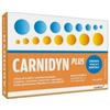 BIOFUTURA PHARMA SpA CARNIDYN PLUS 20 BUSTINE DA 5 G GUSTO ARANCIA